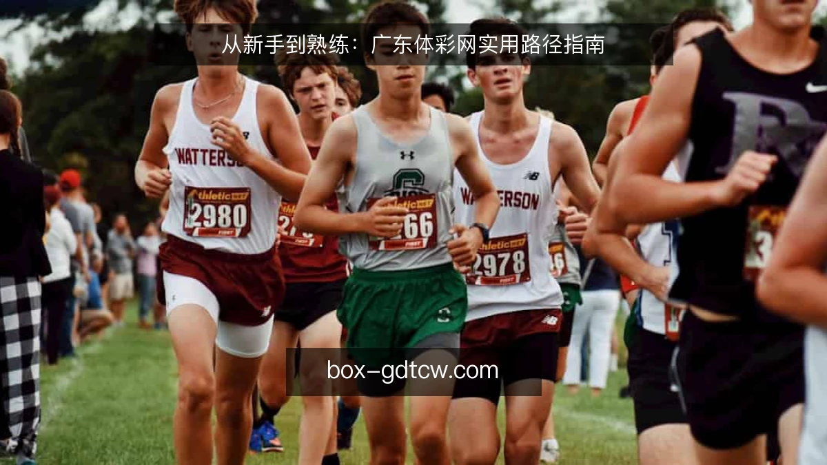 从新手到熟练:广东体彩网实用路径指南
