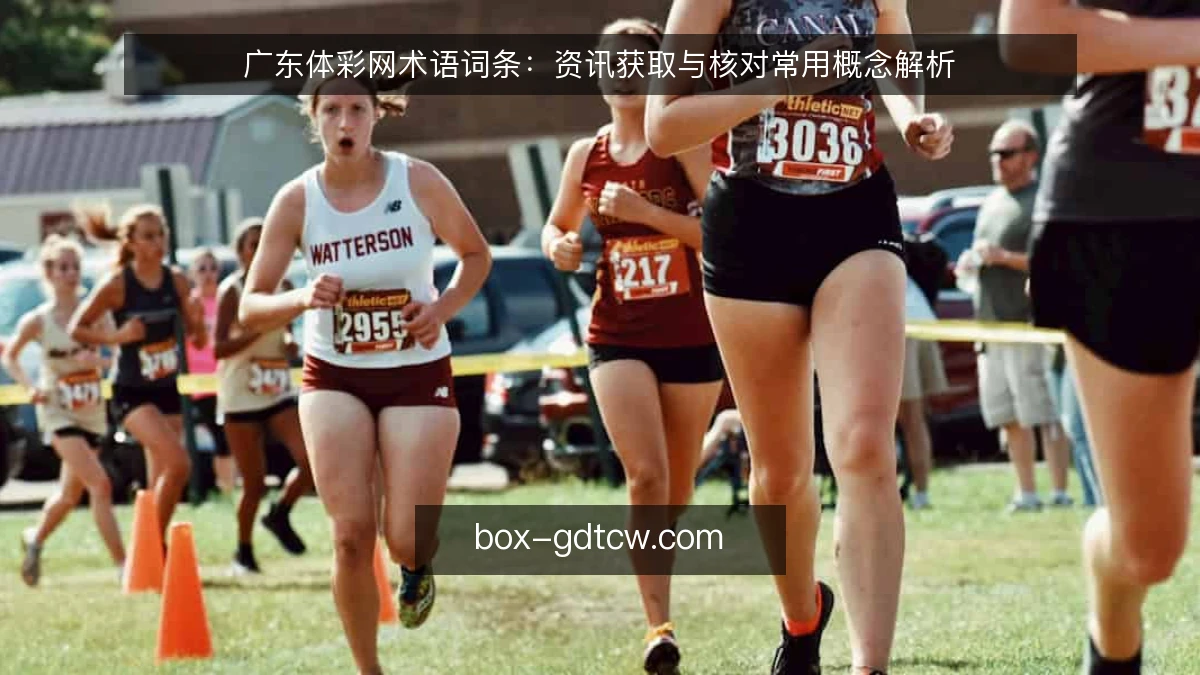 广东体彩网术语词条：资讯获取与核对常用概念解析