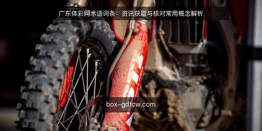 广东体彩网术语词条：资讯获取与核对常用概念解析 — 广东体彩网资讯获取：常用术语有哪些？ 配图